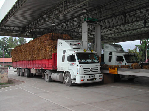 Transporte de Tabaco a granel en Salta, Argentina
